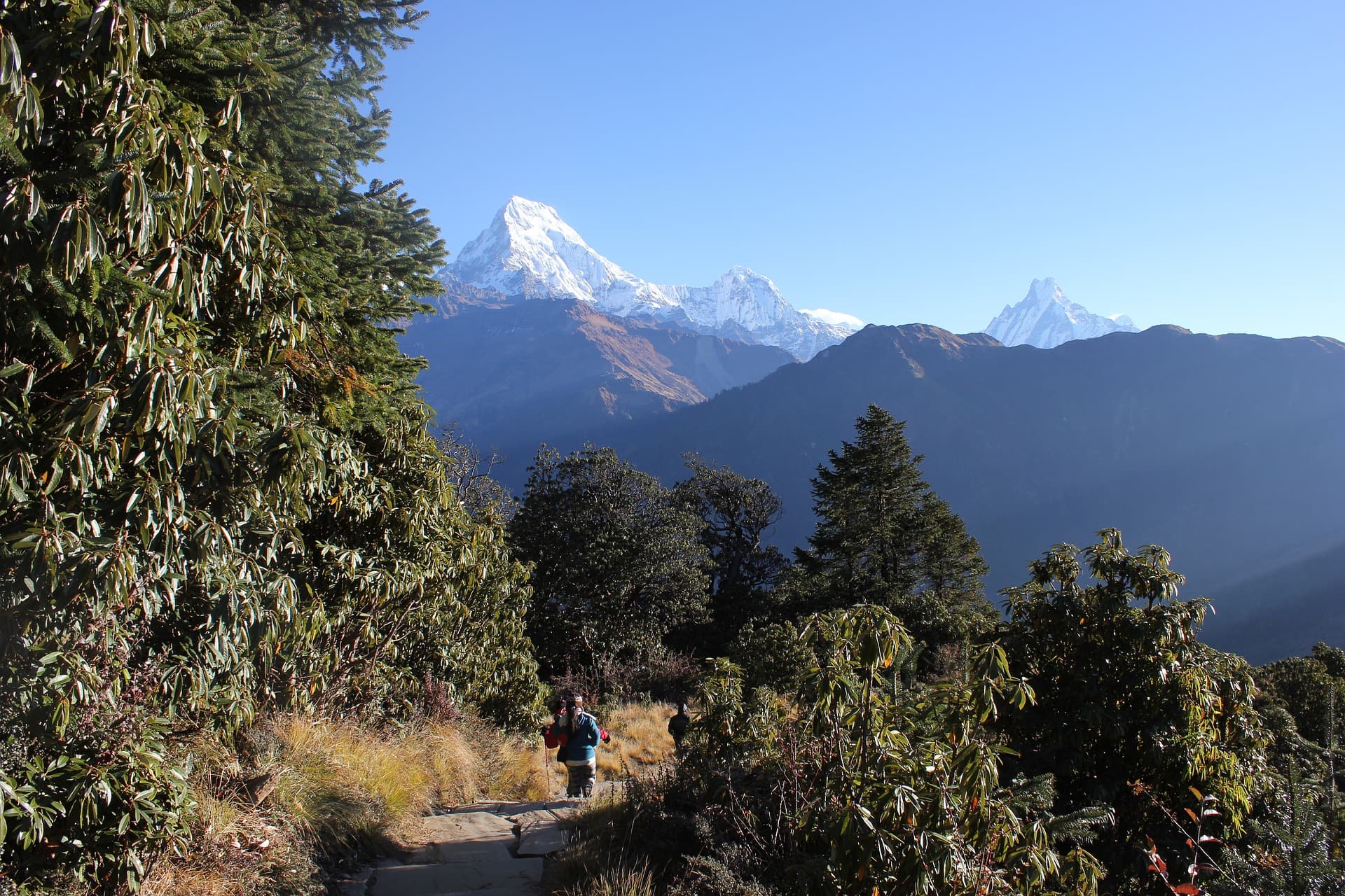 Ghorepani Poonhill Trek - 7 Days